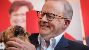 Albo Election