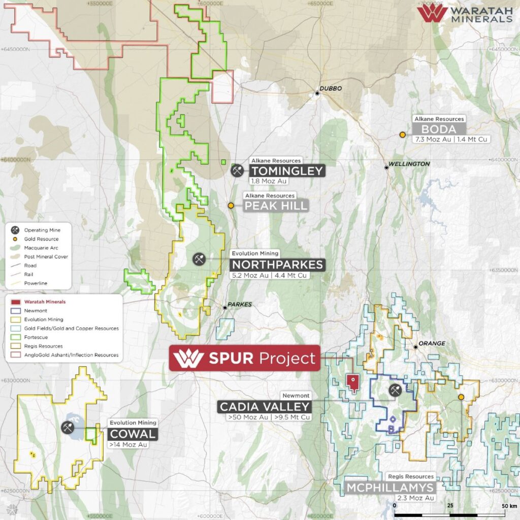 waratah resources