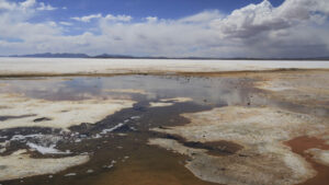 direct lithium extraction