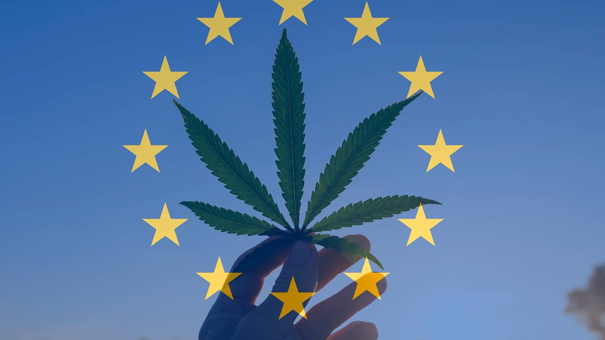Health Check: Little Green Pharma’s European success is more than pot luck