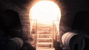 The Australian Wine Club: blockbuster shiraz deal in Secret Cellar offer