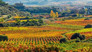 Spanish reds worth trying from Altos in Rioja’s high country