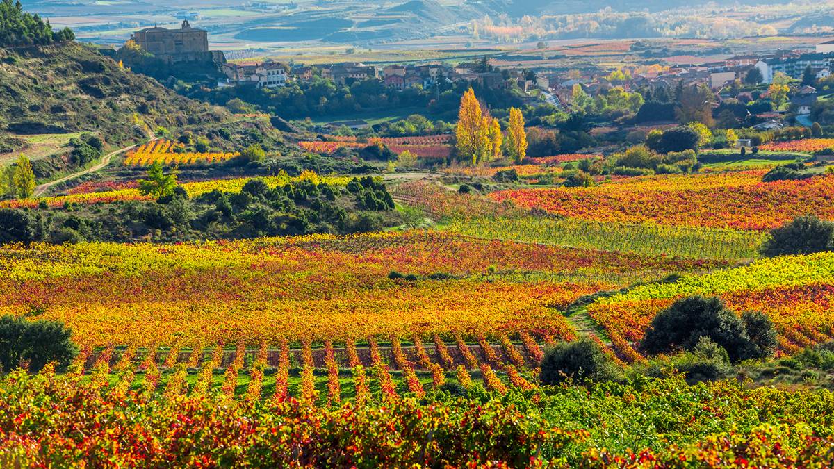 Spanish reds worth trying from Altos in Rioja’s high country