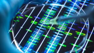 Rhythm biosciences asx rhy