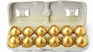 Albion Resources