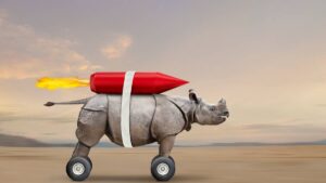 Clarity shares surge
