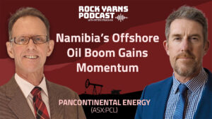 Rock Yarns: Swimming with the majors off the coast of Namibia