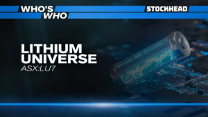 Who’s Who with Lithium Universe: Closing the lithium conversion gap