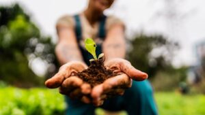 Nutrien Ag Solutions (RLF)