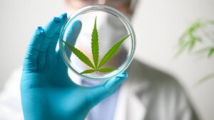 argent biopharma