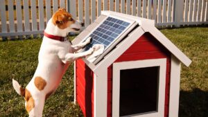 Why the solar battery boom has failed to reduce your power bill