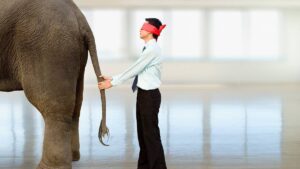 jumbo shares