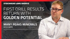 Long Shortz with Many Peaks Minerals: Odienné drilling shows high gold potential