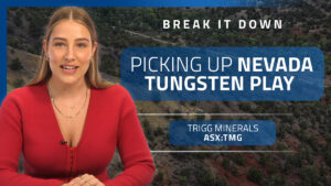 Break it Down: Trigg Minerals expands US critical minerals quest into tungsten