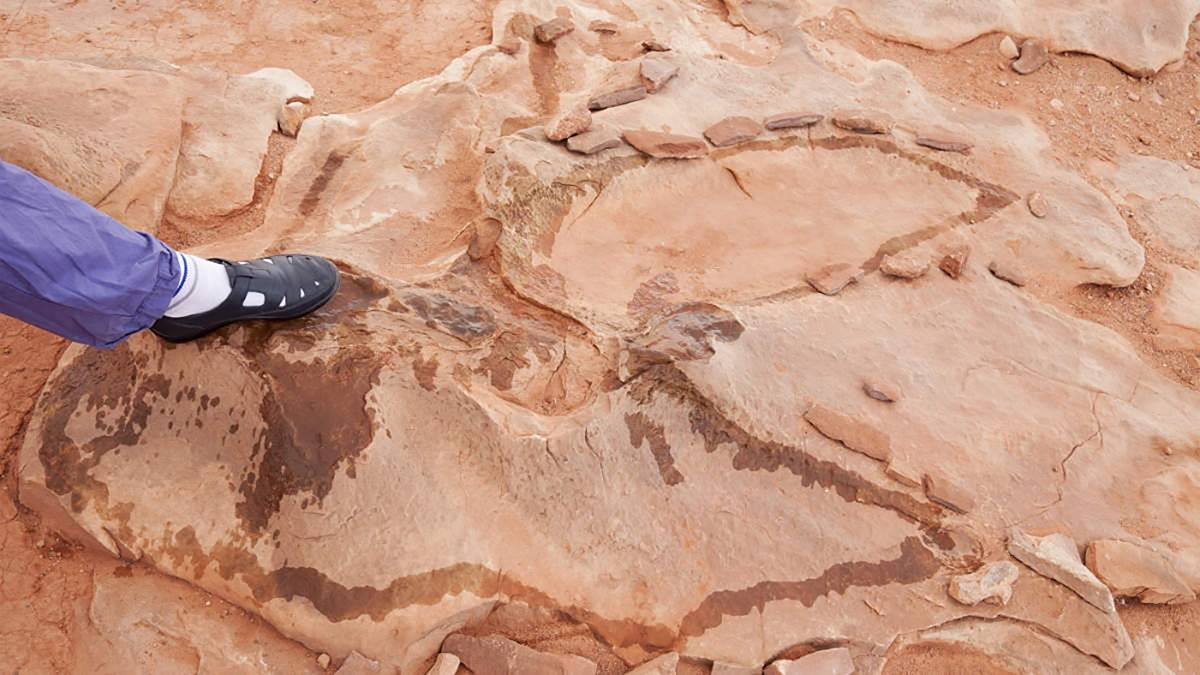 Taruga expands exploration footprint in WA’s rich Gascoyne province