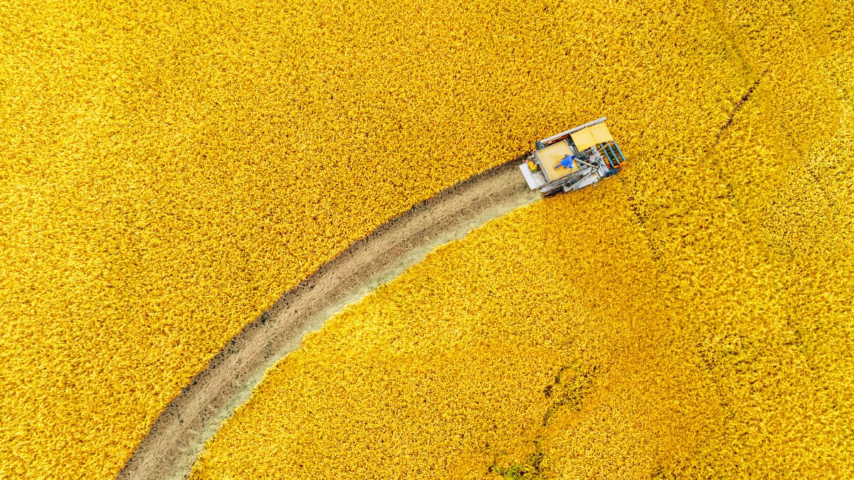 asra minerals asx asr