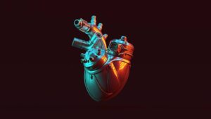 bionic heart