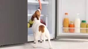Stock Tips: The supermarket duopoly still looks pretty fresh this week