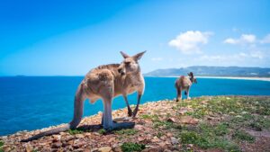Unicorns Podcast: Australian power play Sovereign AI launches