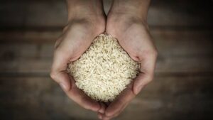 Criterion: The rice and rice of an overlooked agri powehouse