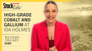 StockTake: Western Yilgarn strikes high-grade cobalt at Ida Holmes Junction