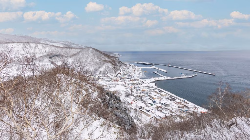 Japan winter trip