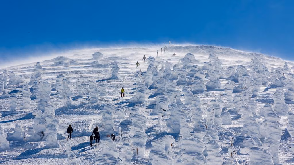 Japan winter trip