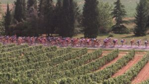Tour de France: spring whites from Chablis to Sancerre