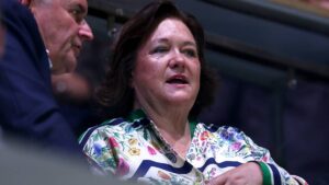 Gina Rinehart iron ore