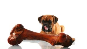 First drill hole at Highway Reward in more than 20 years gives Loyal Metals something to chew on