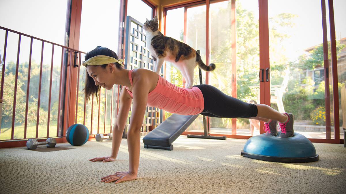 Sorry! Image not available at this time