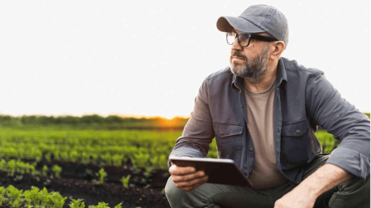 RLF AgTech (ASX:RLF)