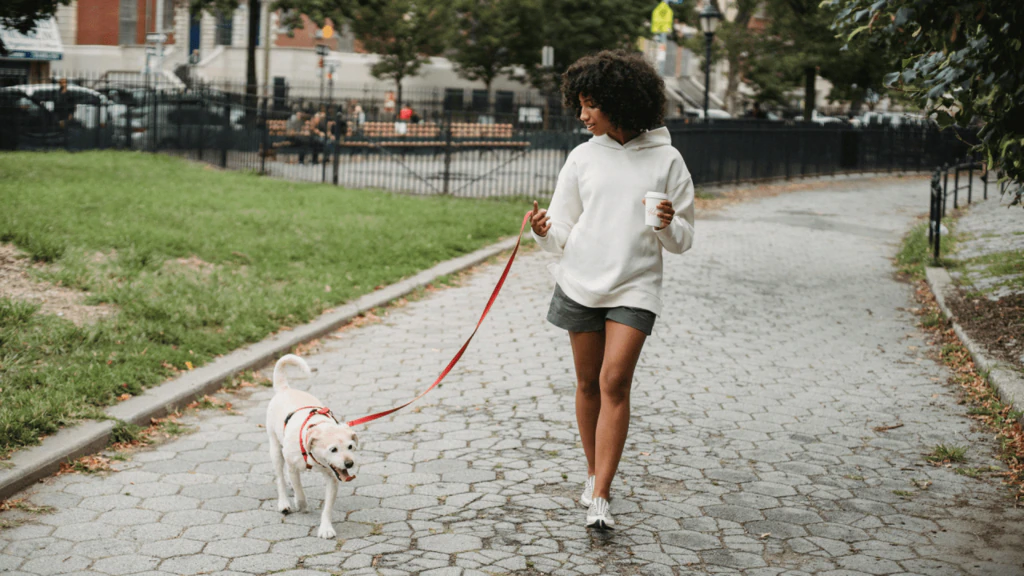 Japanese walking method