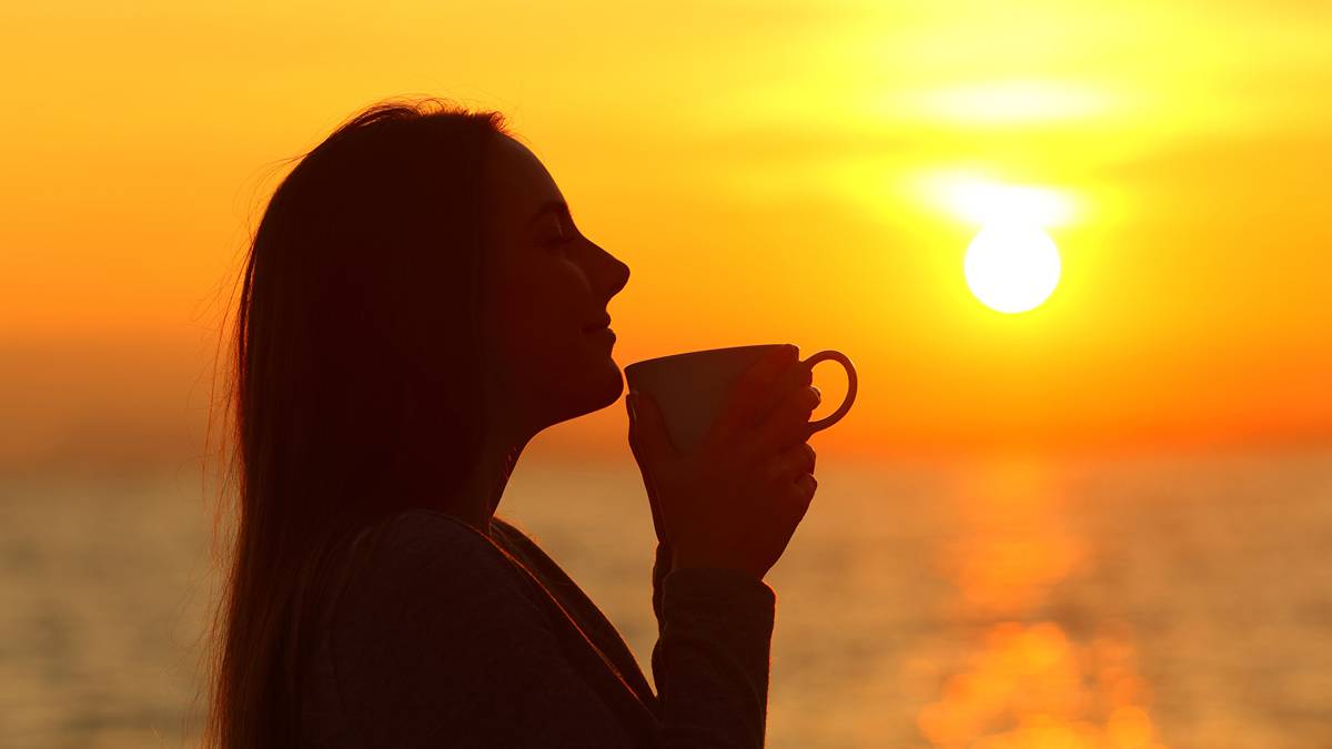 calmer co international asx cco