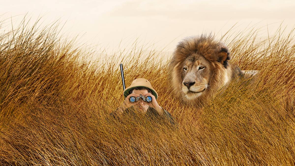 Auravelle Metals strikes gold in first past drilling at Sheoak East as it hunts the next big South Australian gold deposit