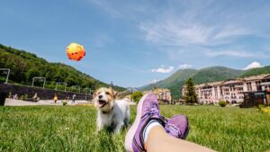 Mount Ridley secures entire Grass Patch just weeks after maiden gallium resource