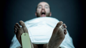 asx today SMS asx stocks