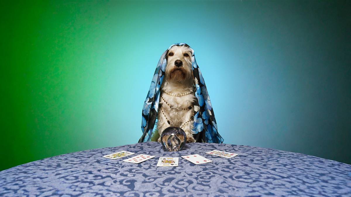 Rare earths prices Canaccord