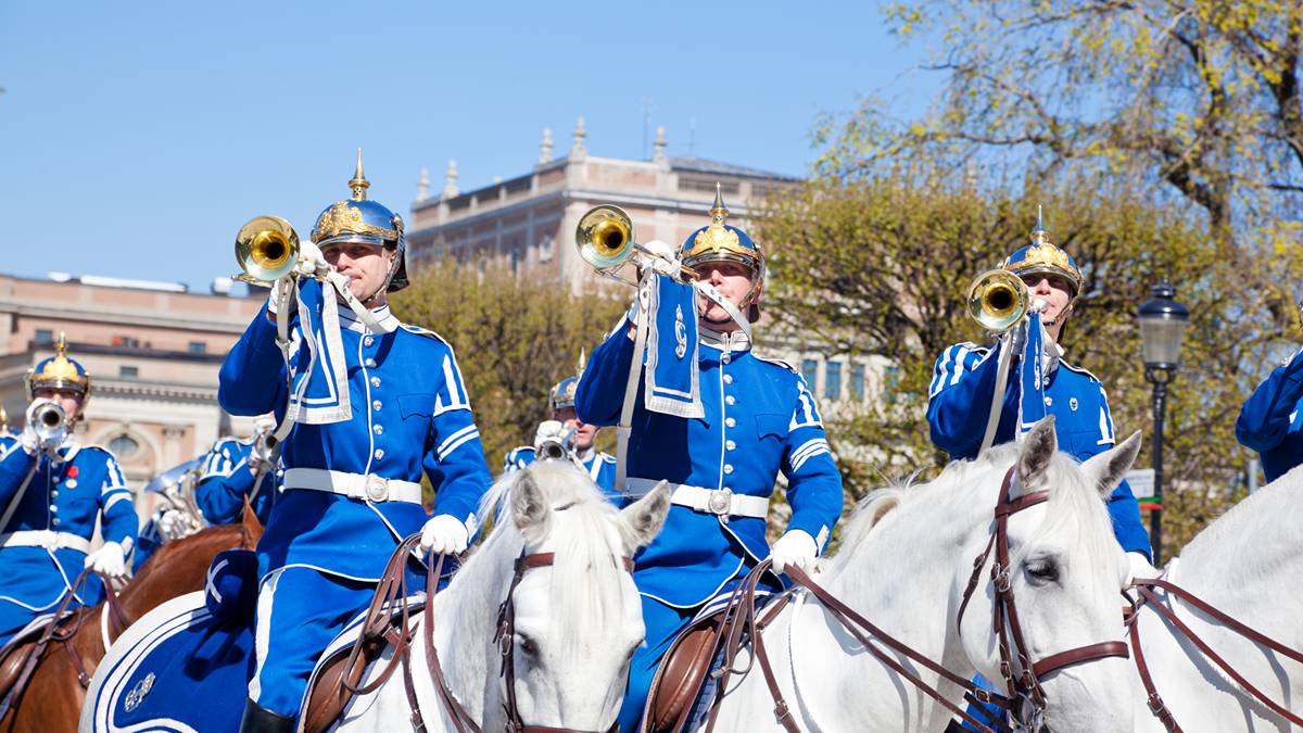 asx resources stocks bvr asx de grey mining