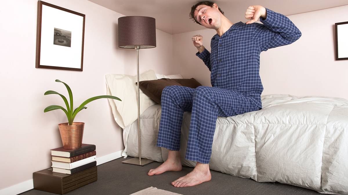 asx today ORN asx stocks