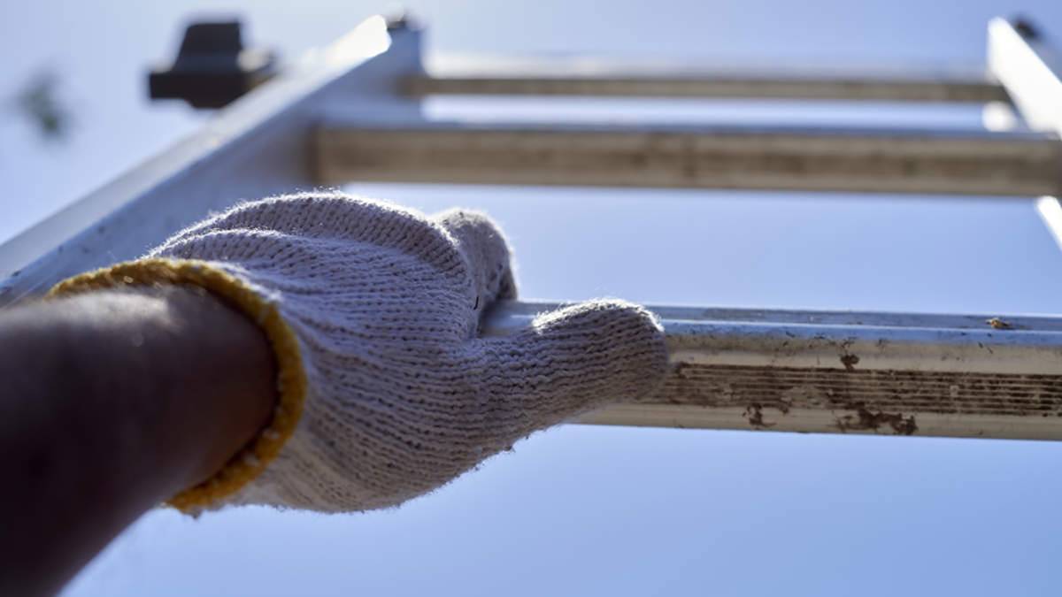 Octava Minerals-1200x675