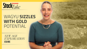 StockTake: New Age Exploration ramps up on Hemi-adjacent gold hunt
