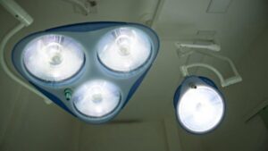 Clever Culture Systems (ASX:CC5)