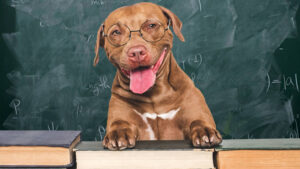 iTech Minerals (ASX:ITM)